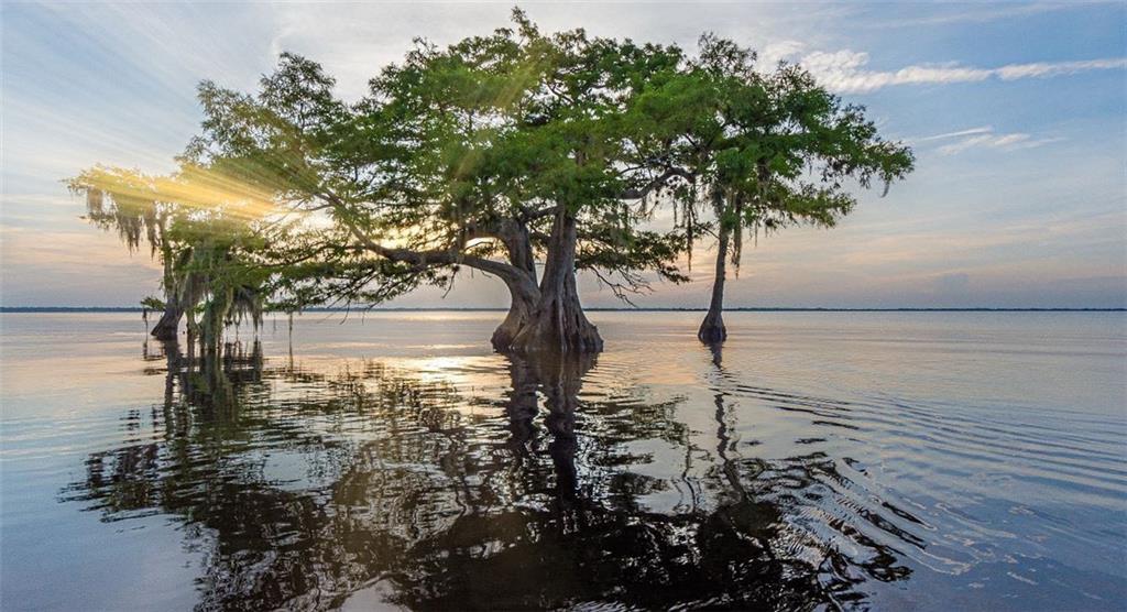 SEBASTIAN HIGHLANDS UNIT 8 - Residential