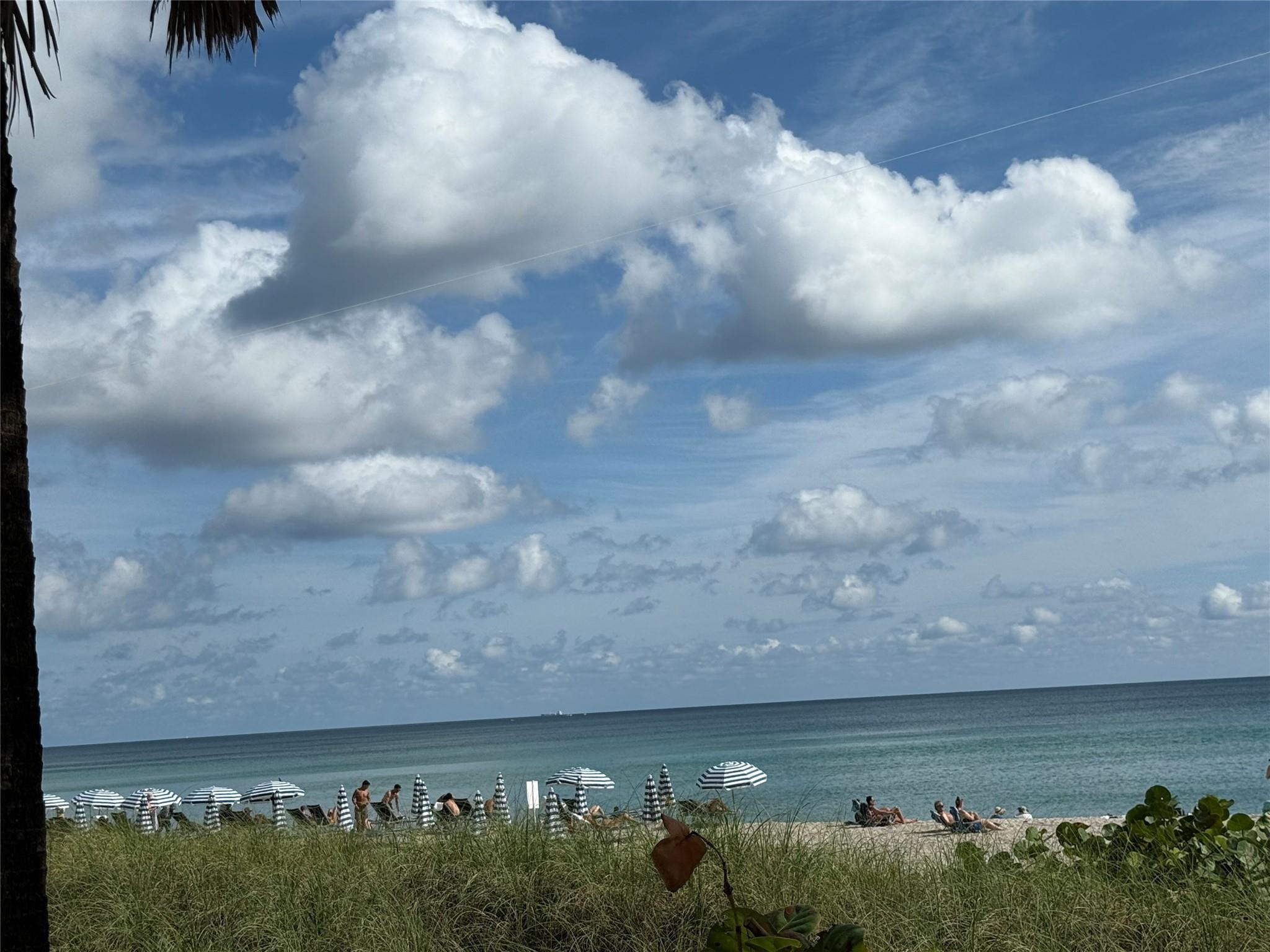 PLAZA TOWERS NORTH CONDO - Residential