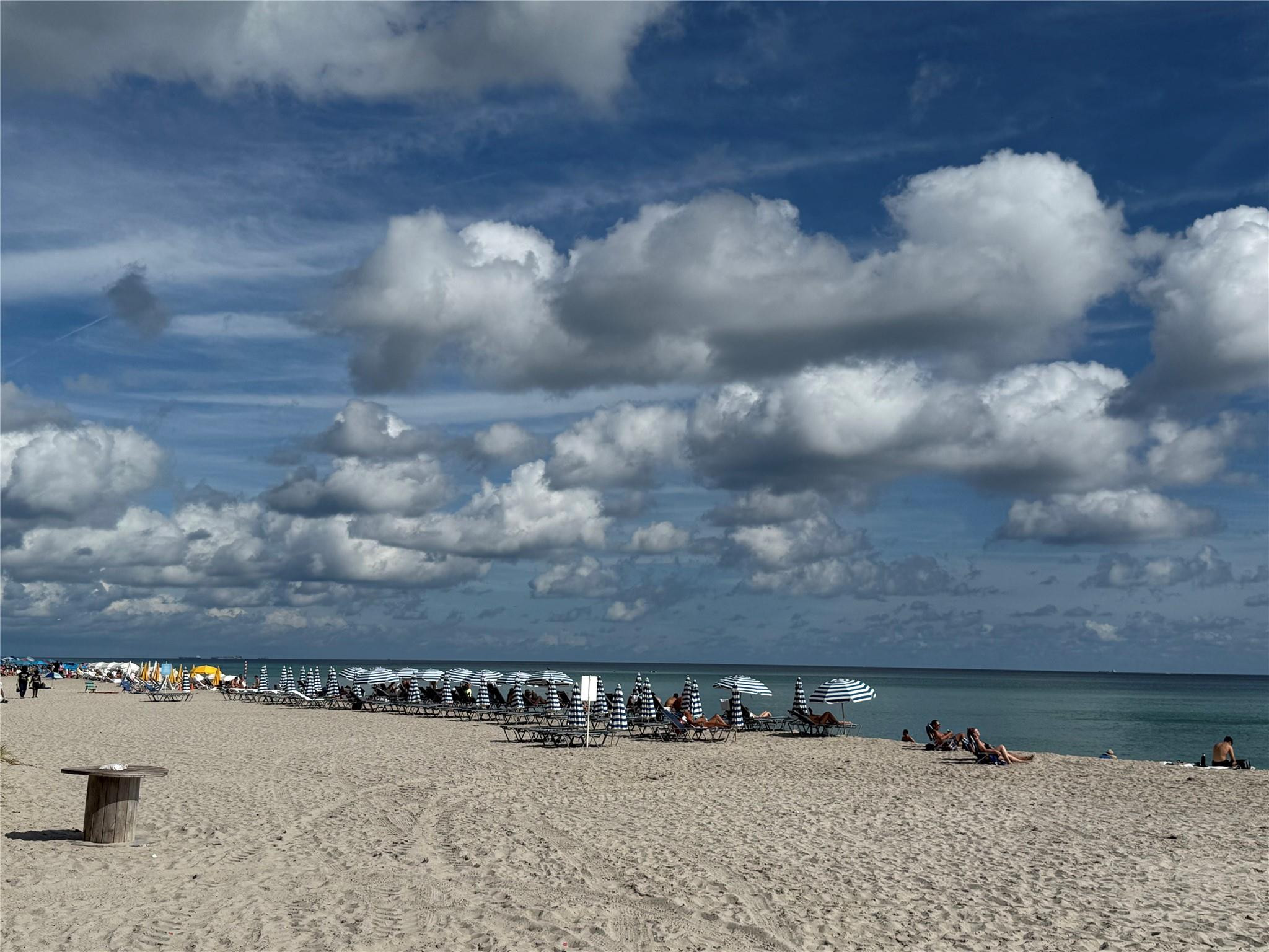 PLAZA TOWERS NORTH CONDO - Residential