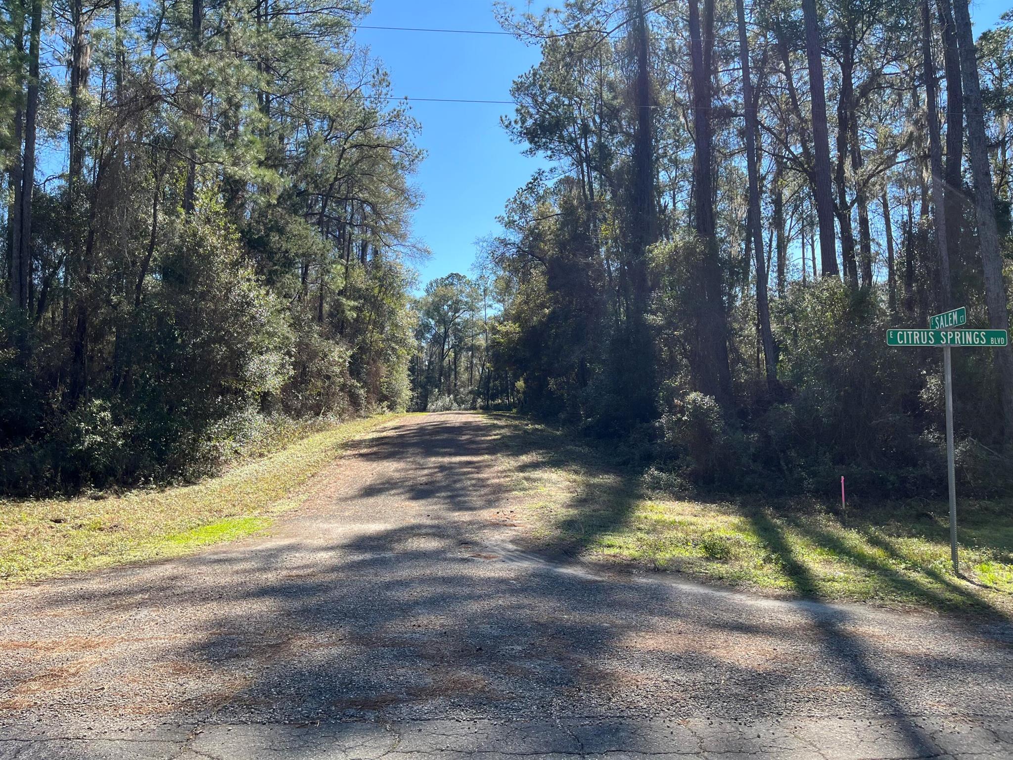 CITRUS SPRINGS UNIT 17 - Land