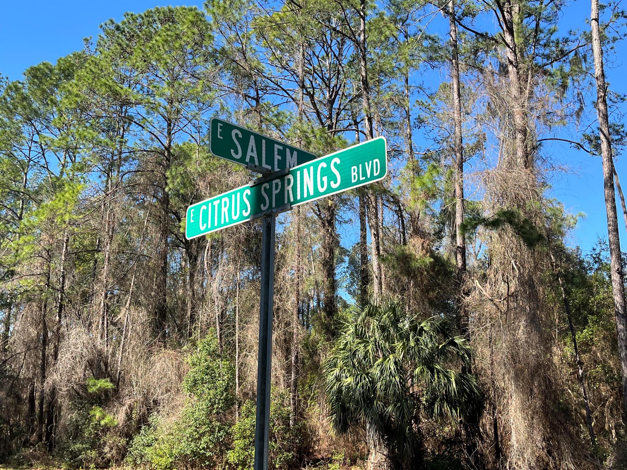 CITRUS SPRINGS UNIT 17 - Land