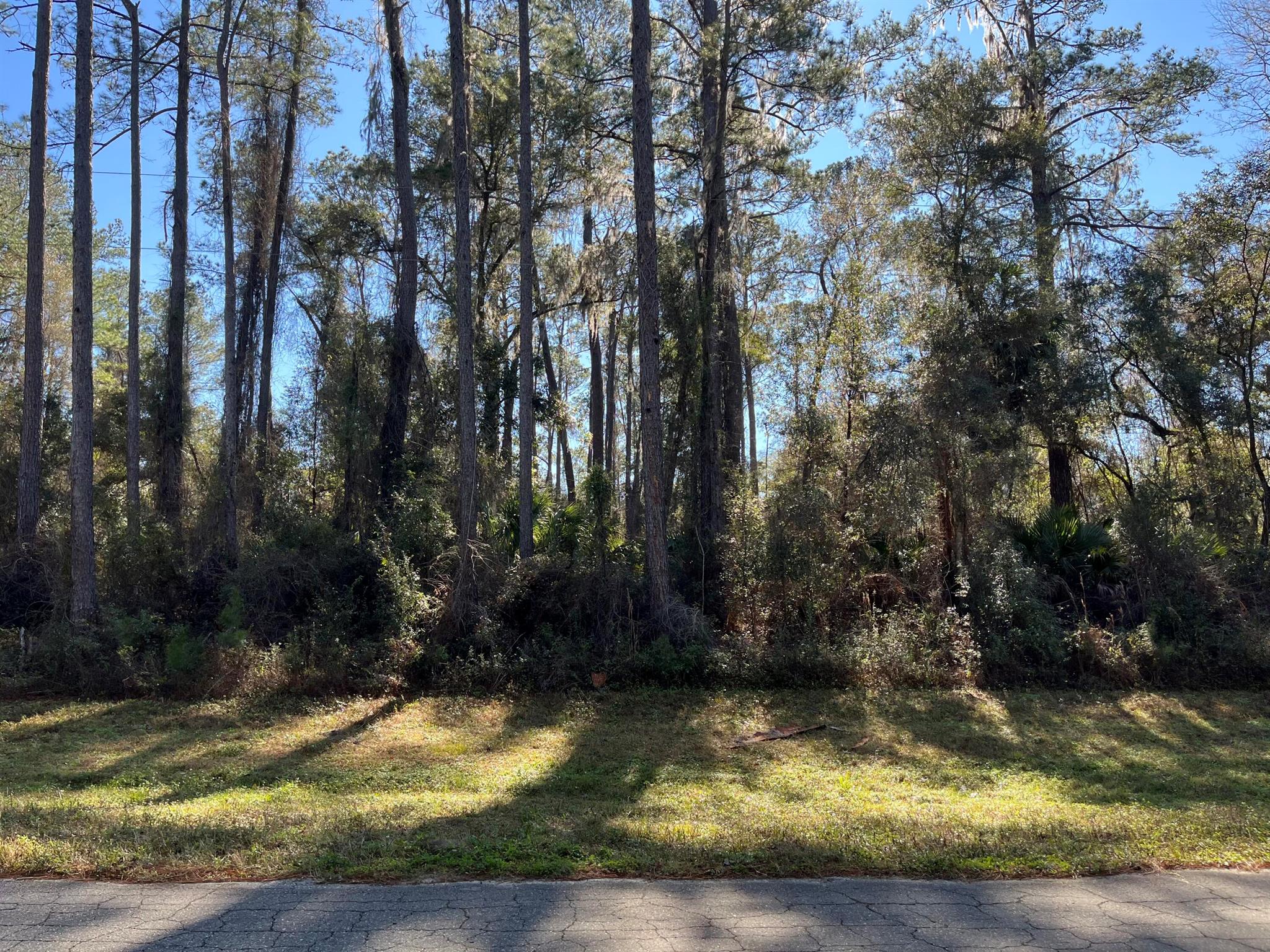 CITRUS SPRINGS UNIT 17 - Land