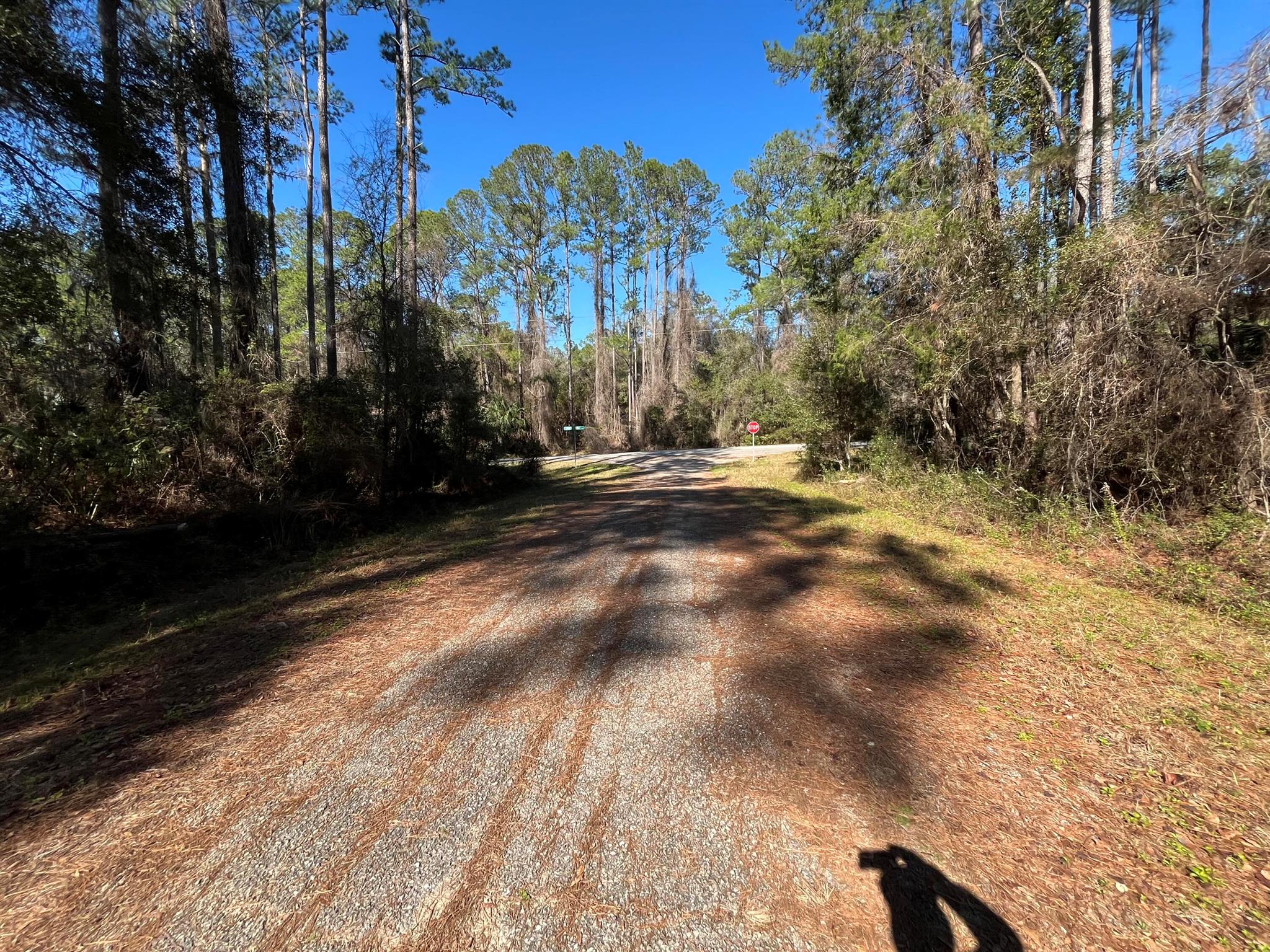 CITRUS SPRINGS UNIT 17 - Land