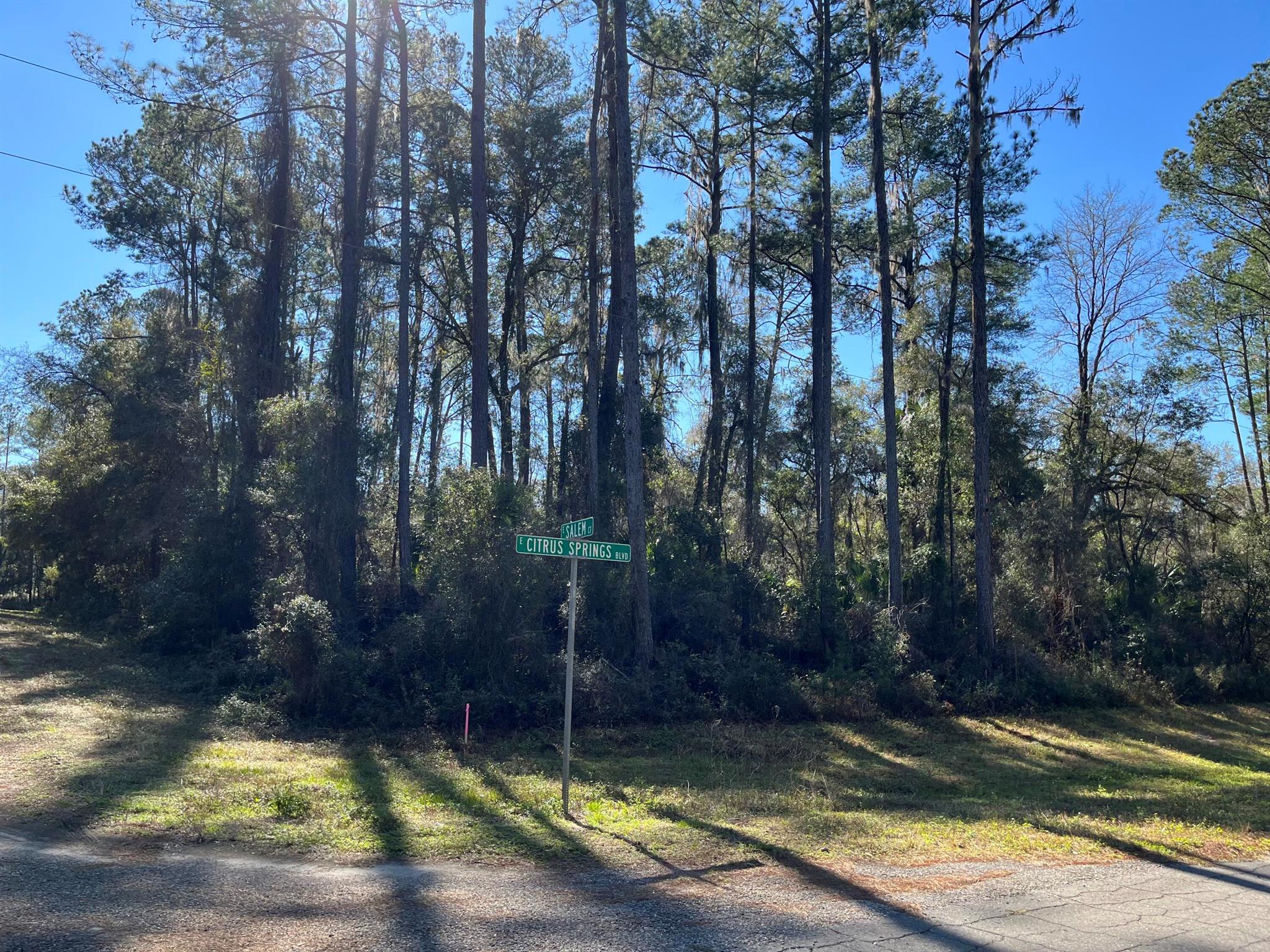 CITRUS SPRINGS UNIT 17 - Land