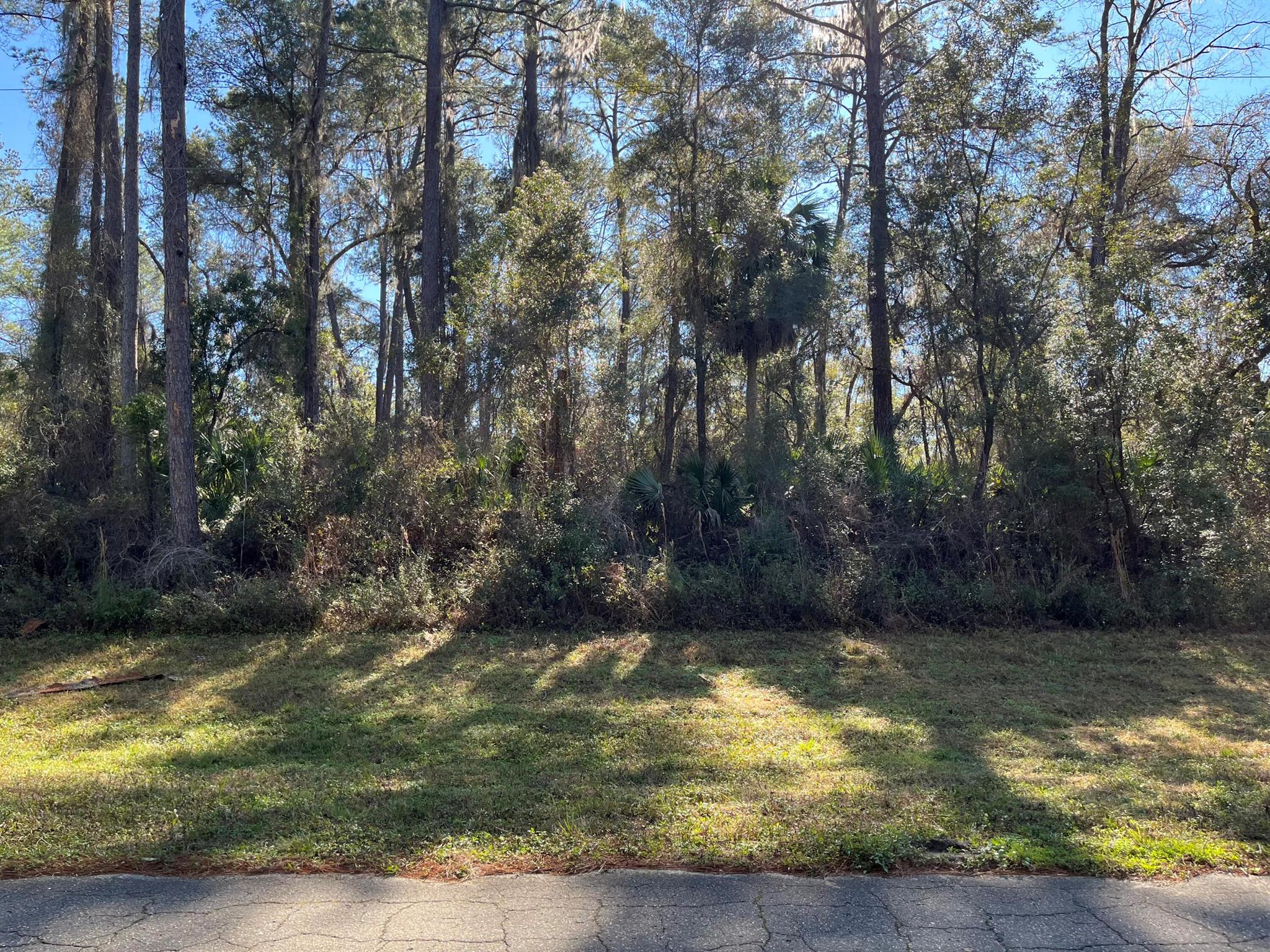 CITRUS SPRINGS UNIT 17 - Land