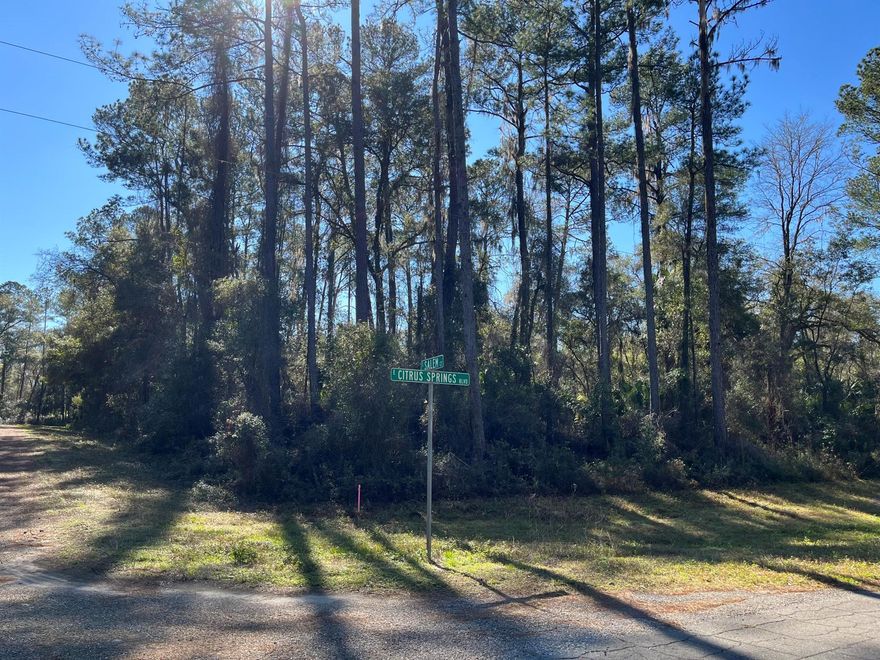 Wow! Build your dream house on this beautiful high and dry 0.40 acre CORNER LOT. Citrus Springs is a growing community convenient to restaurants, medical, shopping, and fun outdoor activities like kayaking, tubing, biking, and family picnics at the Rainbow Springs State Park. The neighborhood features the famous Withlacoochee State Trail for biking, hiking and nature walks. Come and check out this beautiful home site before its gone!
