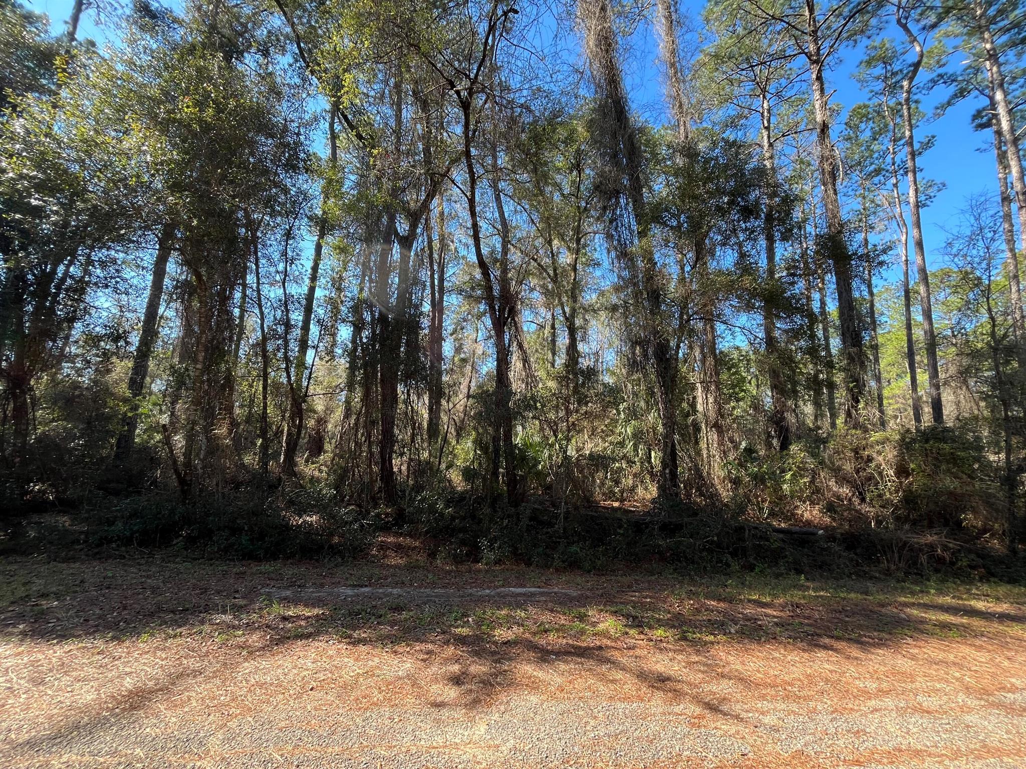 CITRUS SPRINGS UNIT 17 - Land