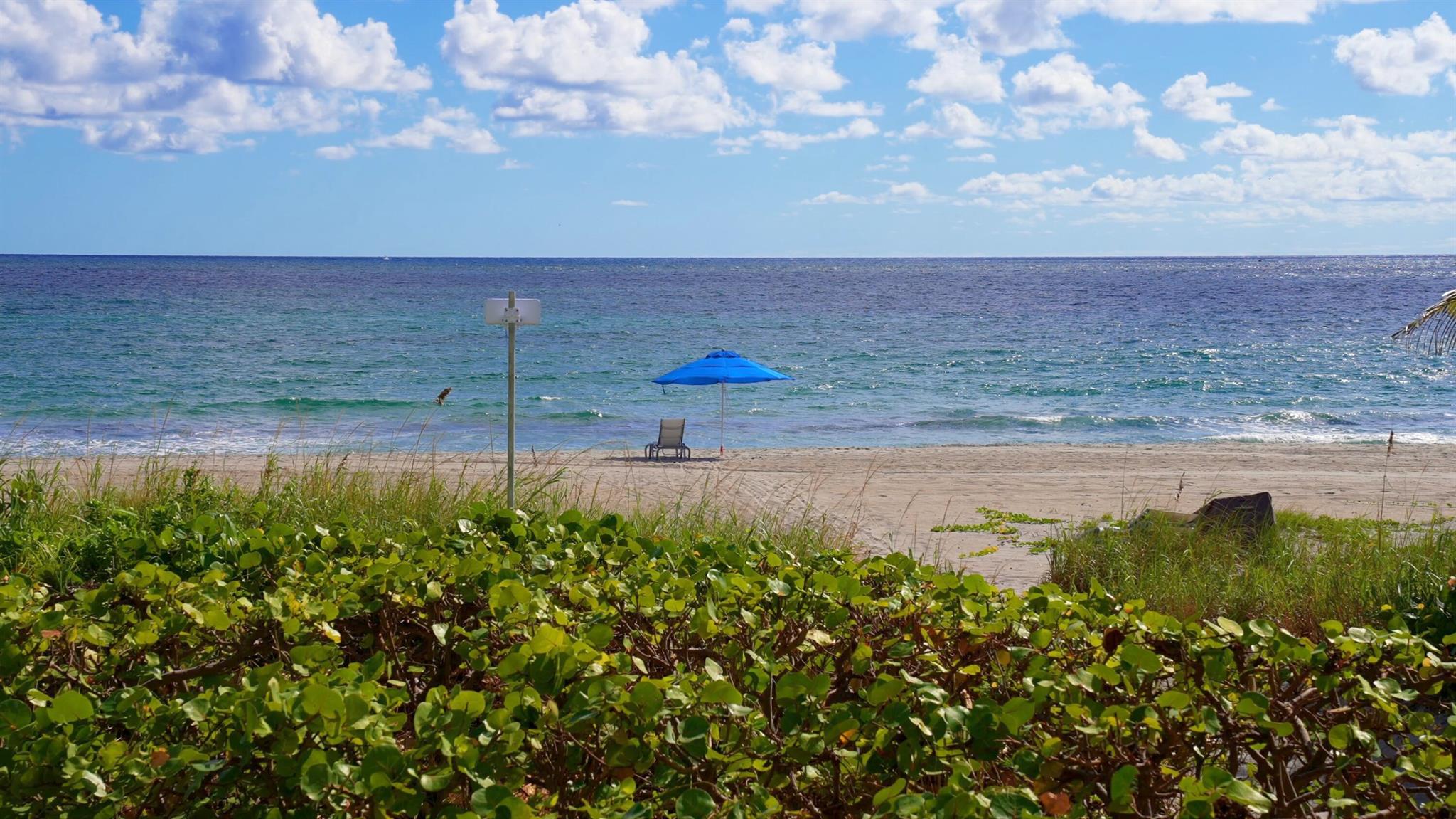 750 OCEAN - Residential