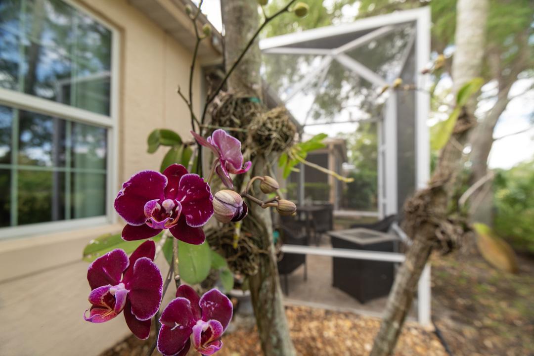 JENSEN BEACH GOLF AND COUNTRY CLUB - Residential