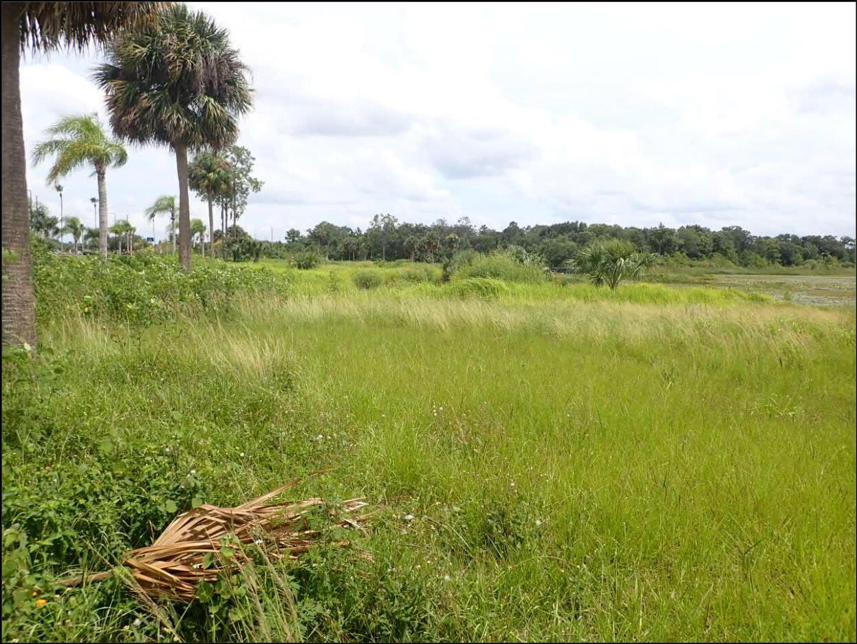 LAKE CECILE ESTATES - Residential