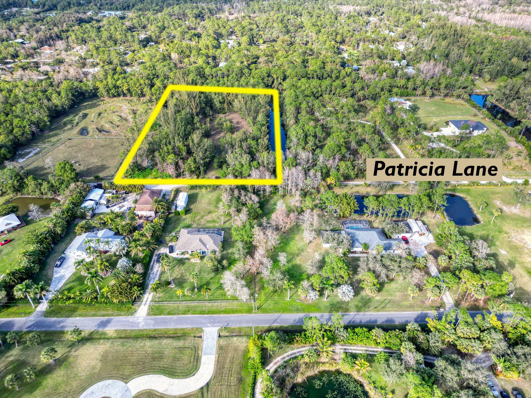 9205 Patricia Lane