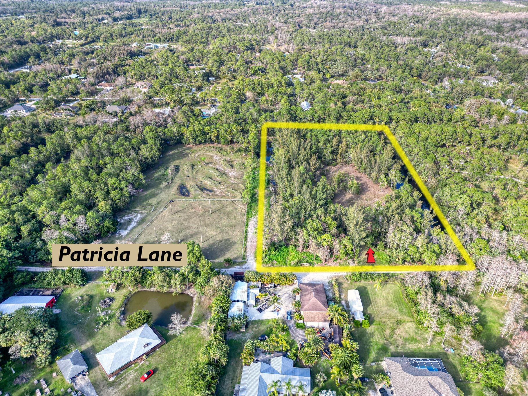 9205 Patricia Lane