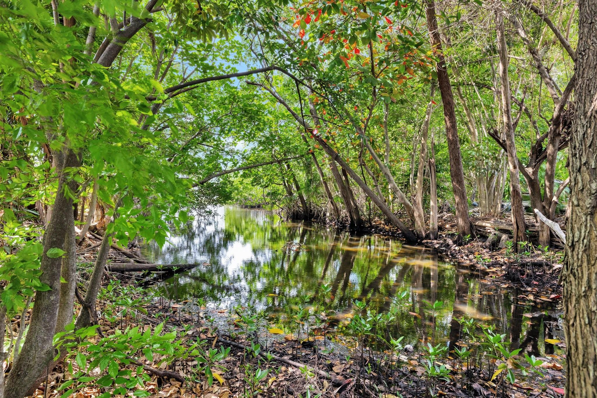 FOOTBRIDGE TOWNHOUSE - Residential