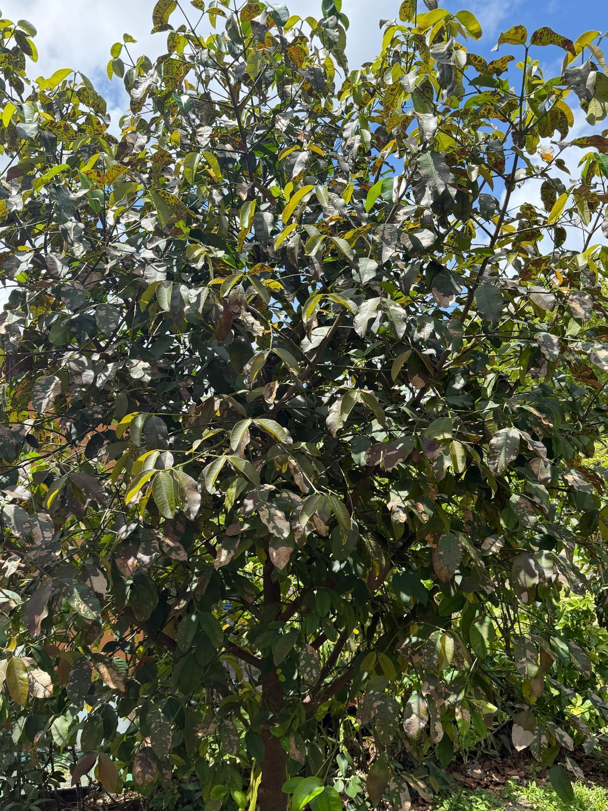 1674 NE 169th Street