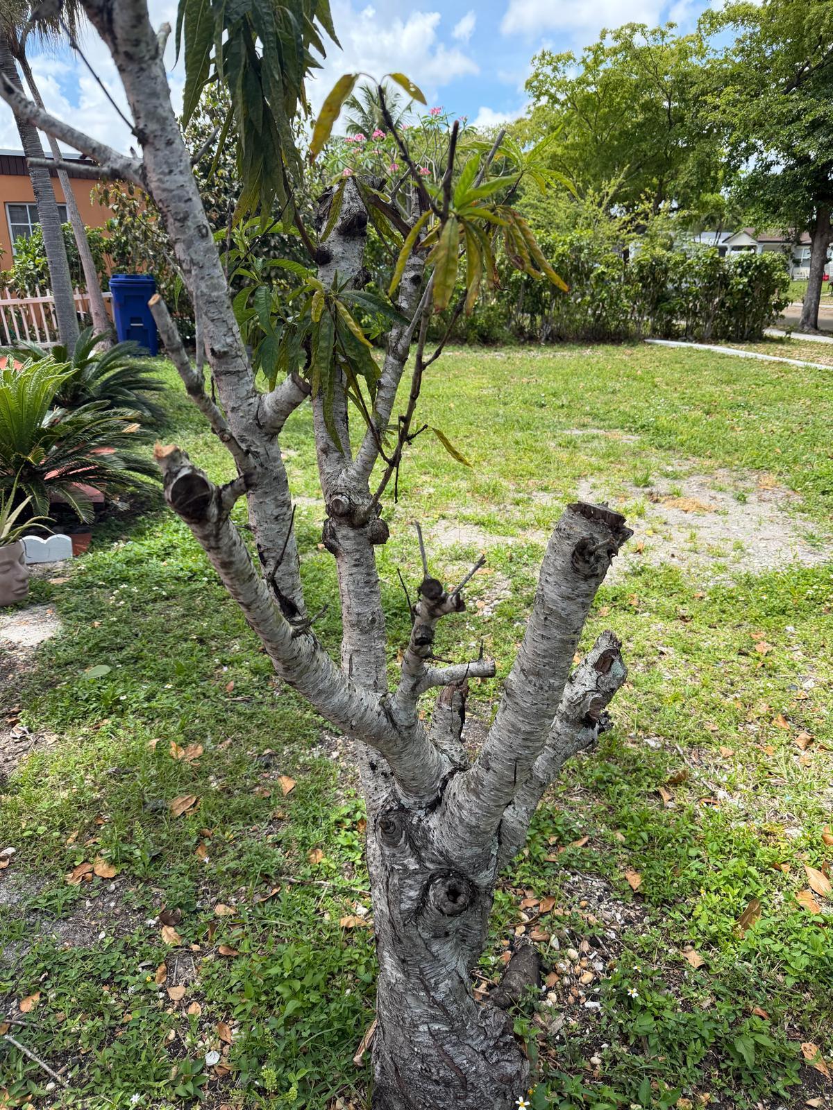 FULFORD BY SEA SEC E - Residential