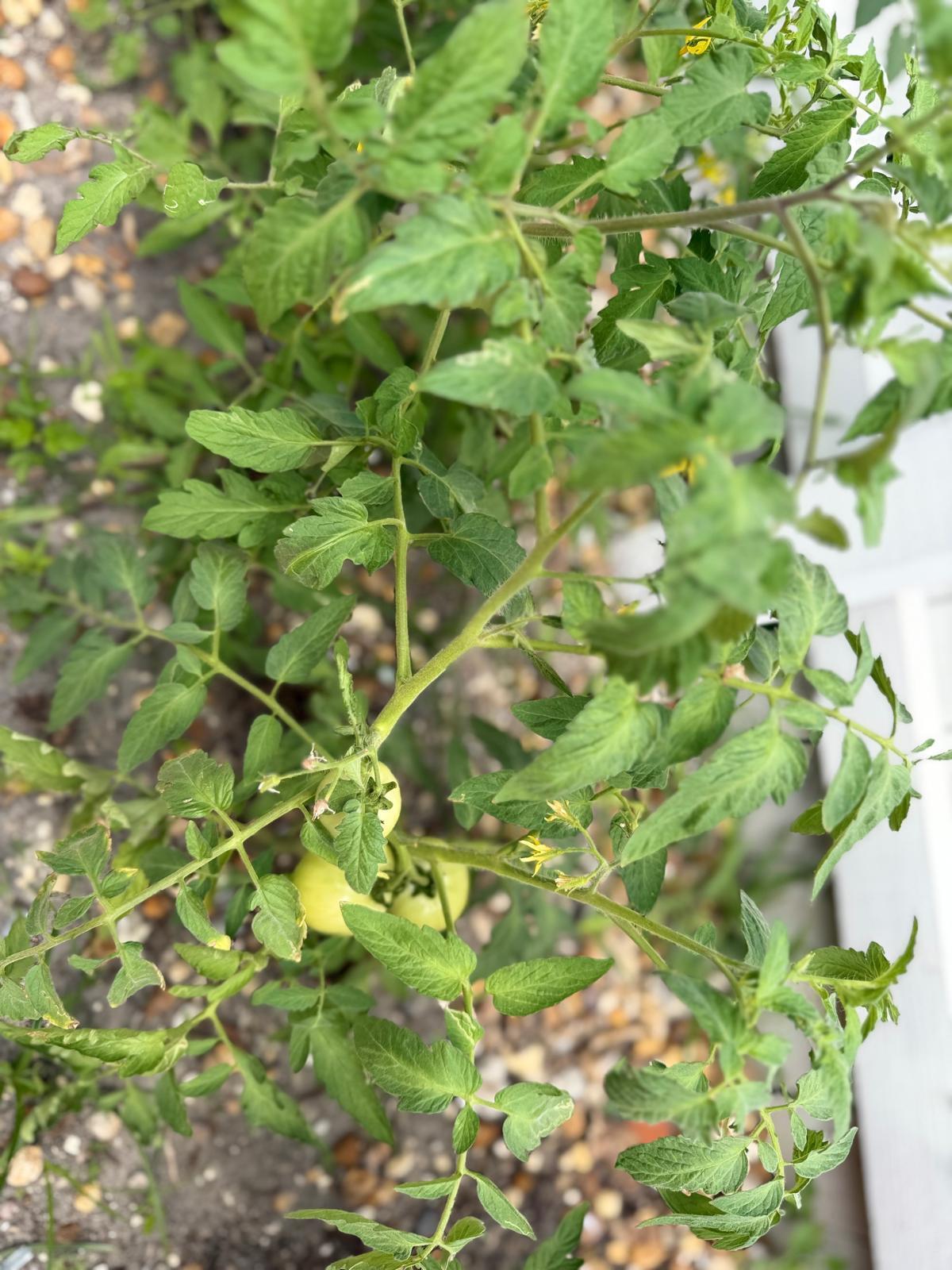 FULFORD BY SEA SEC E - Residential