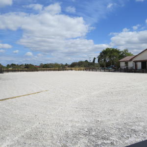 SADDLE TRAIL PARK OF WELLINGTON - Residential