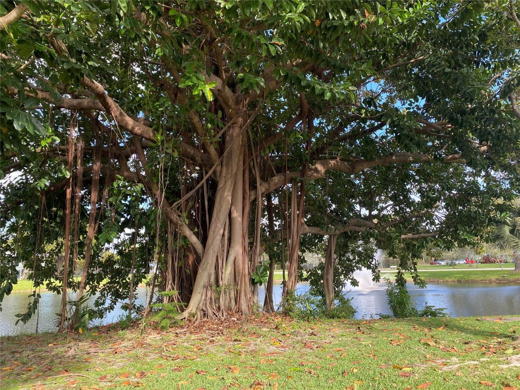 Century Village - Residential