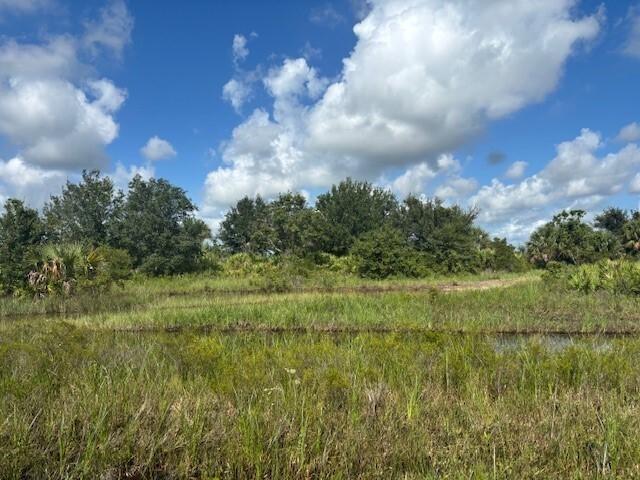 Looking for a hunting spot? This Okeechobee property borders over 2,000 acres of US parkland to the West, and is already surveyed!
Adjacent property available making 3 acres.
Owner finance available only $2k down