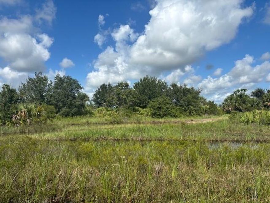 Looking for a hunting spot? This Okeechobee property borders over 2,000 acres of US parkland to the West, and is already surveyed!
Adjacent property available making 3 acres.
Owner finance available only $2k down