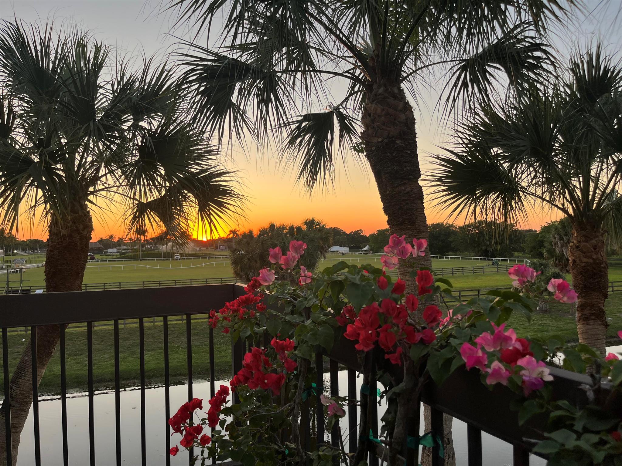 POLO ISLAND CONDO - Residential Lease