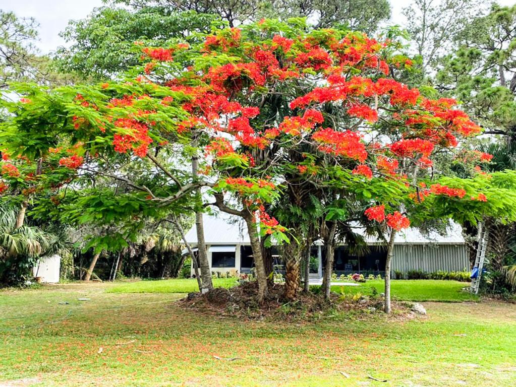 RUSTIC HILLS PHASE III - Residential