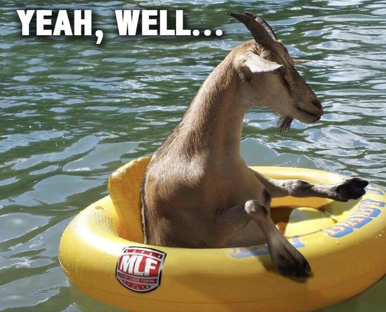 RUSTIC HILLS PHASE III - Residential