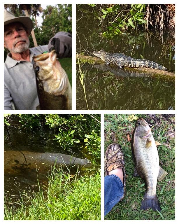 RUSTIC HILLS PHASE III - Residential