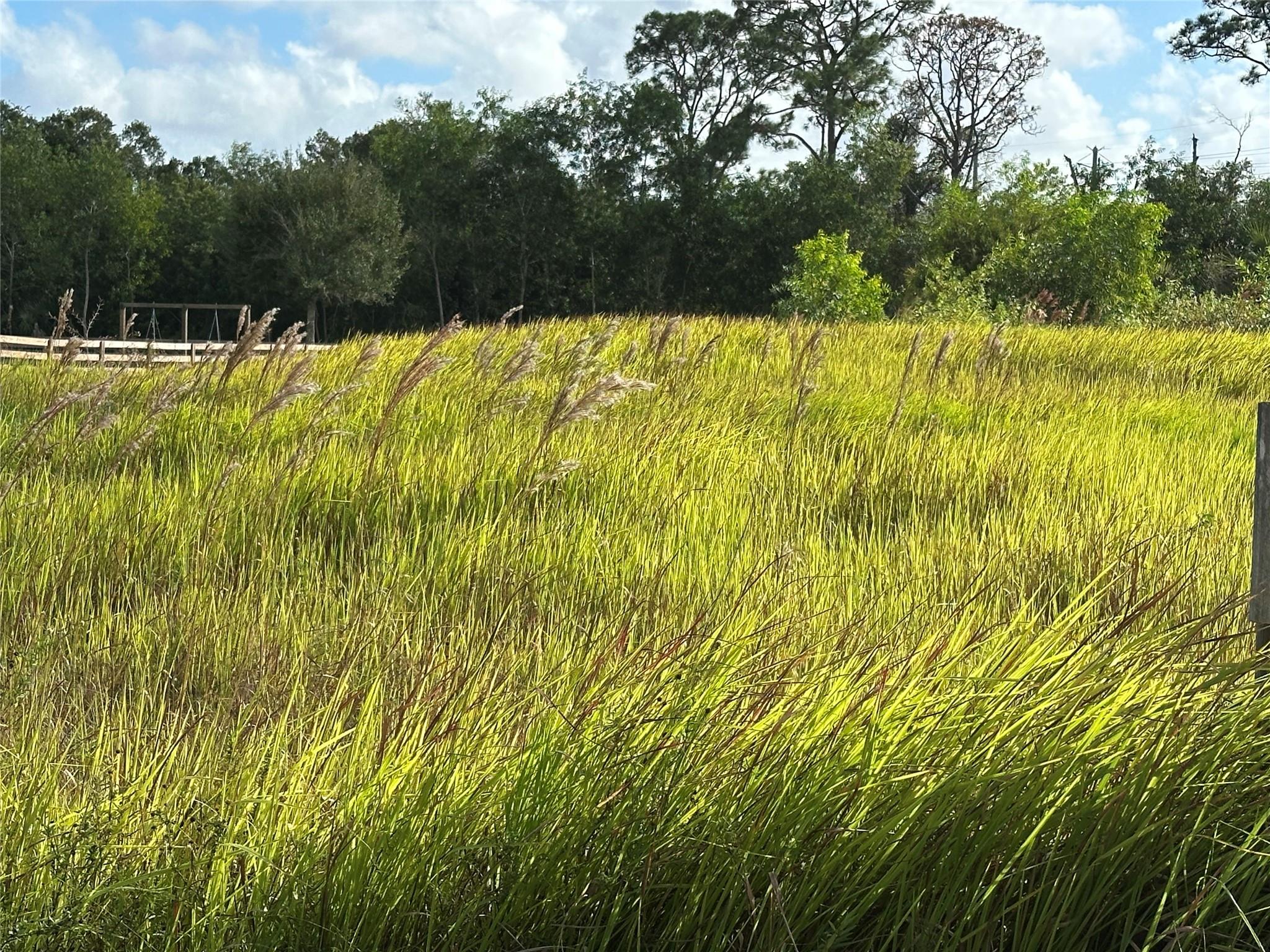 Pine Hollow Units Three & - Land