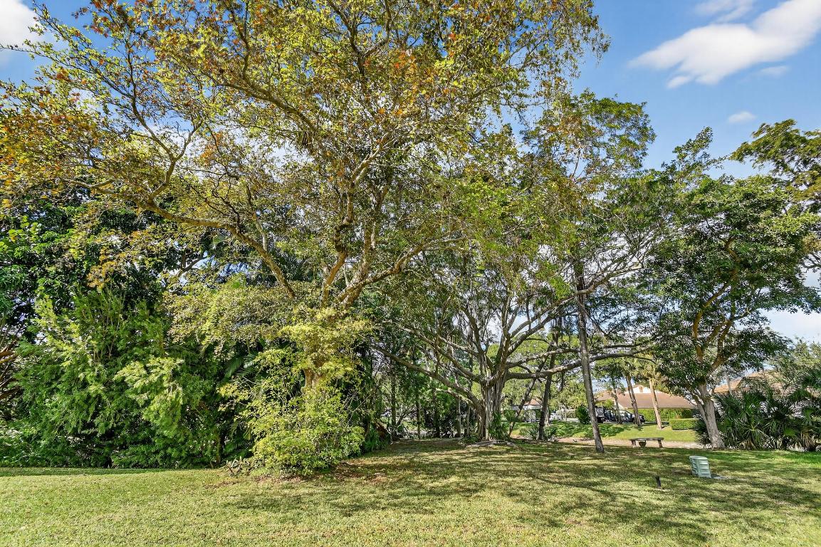 Banyan Springs - Residential