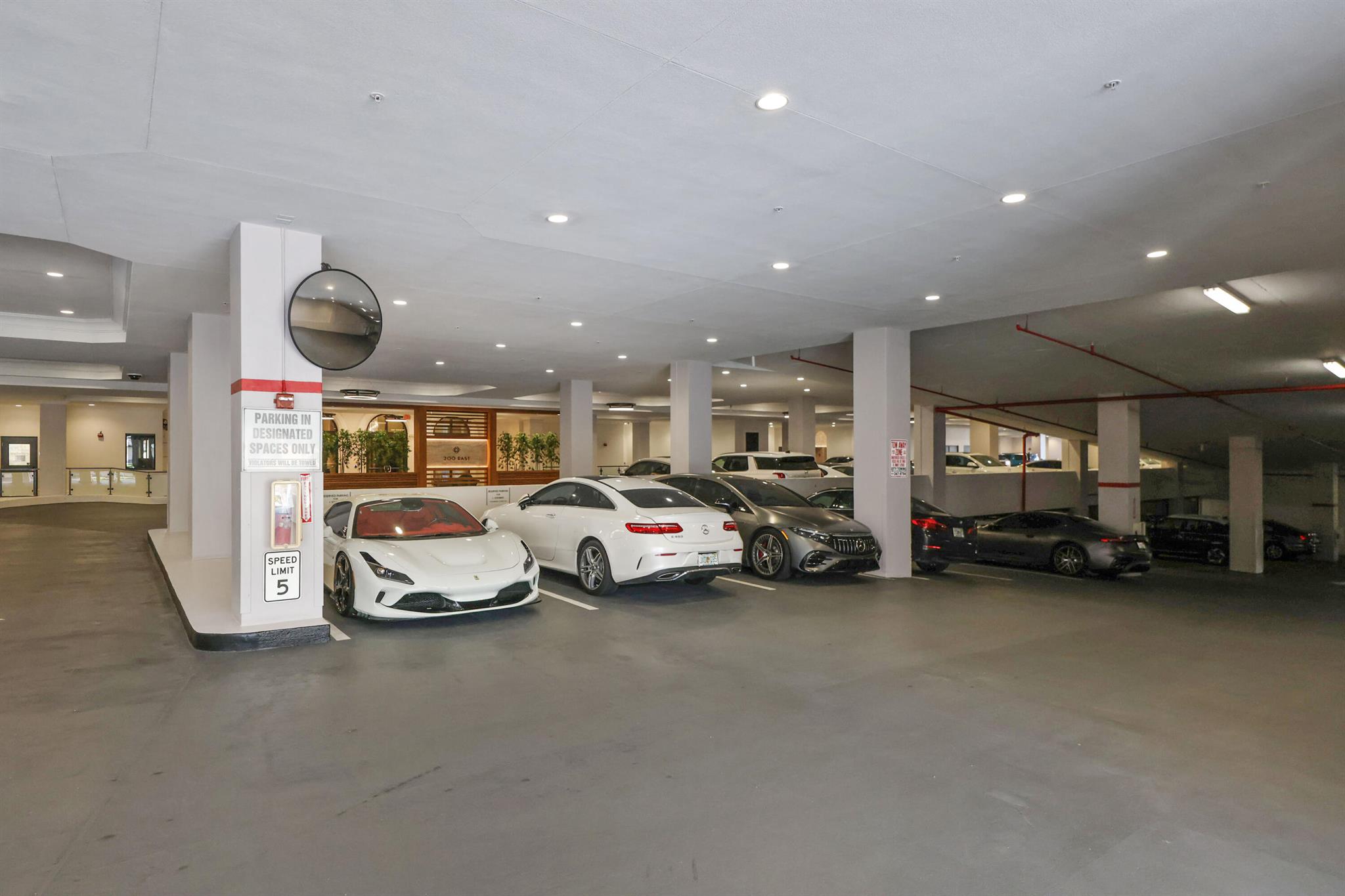 200 EAST PALMETTO PARK CO - Residential Lease