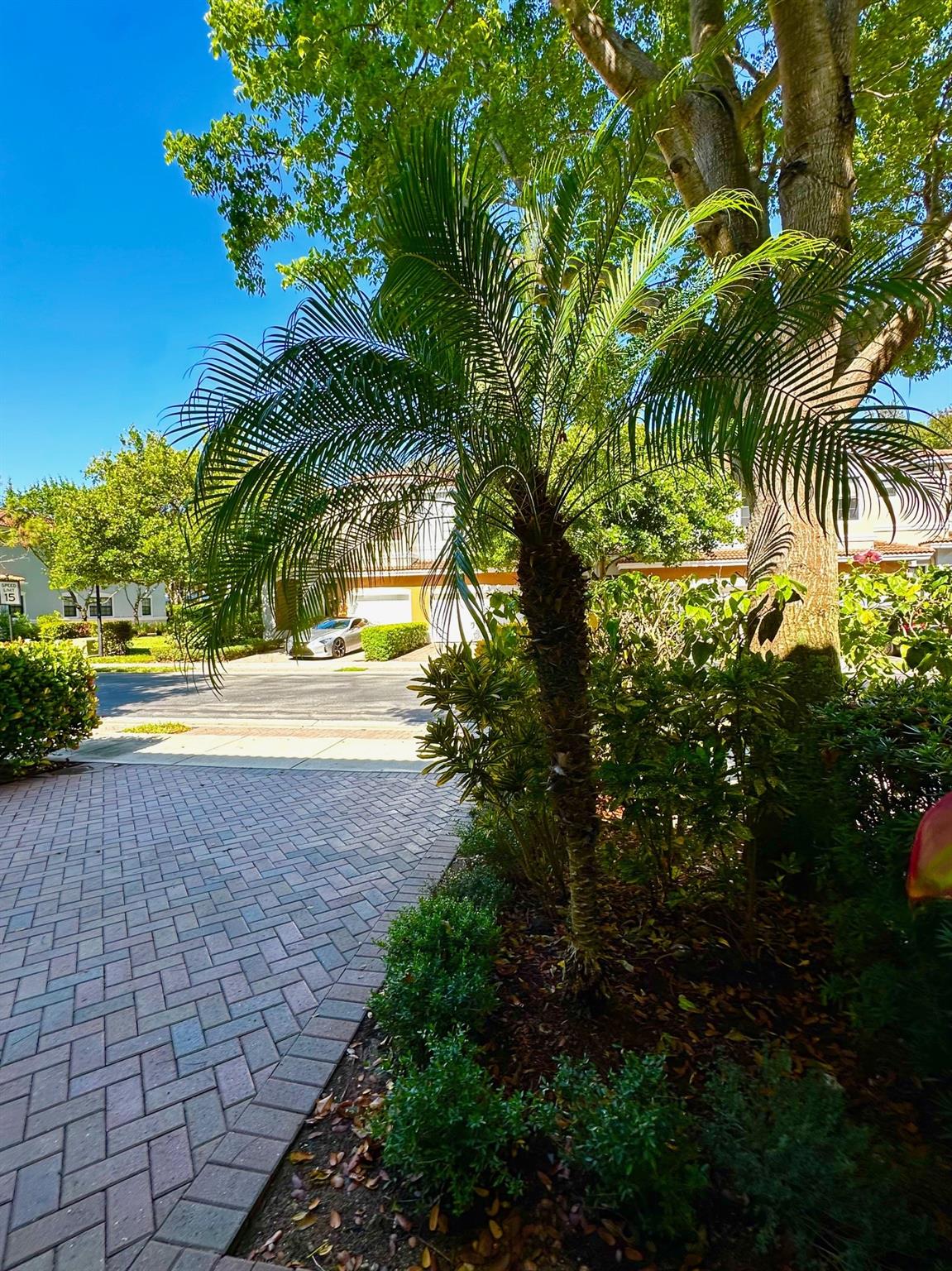 115 Gramercy Square Dr