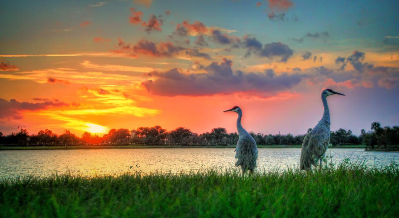 PORT ST LUCIE SECTION 16 - Residential