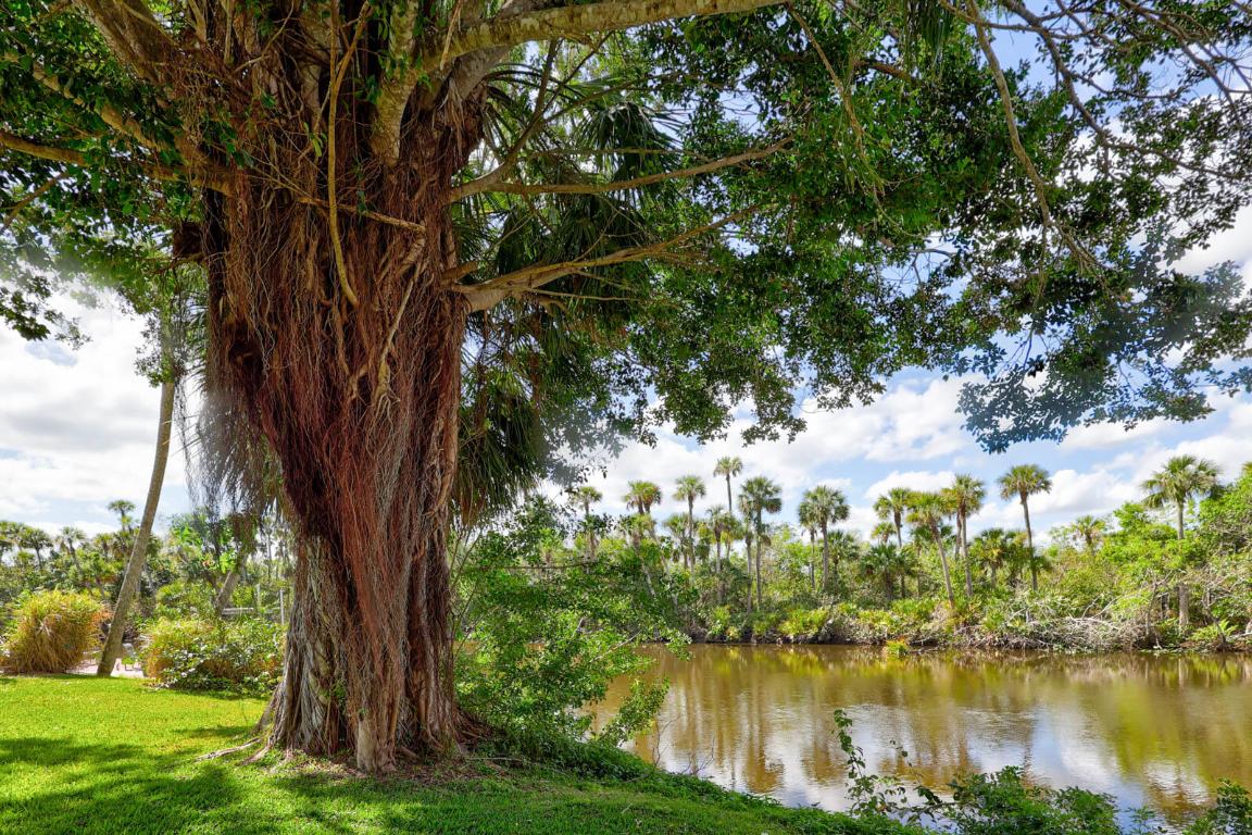 RIVER POINT - Residential