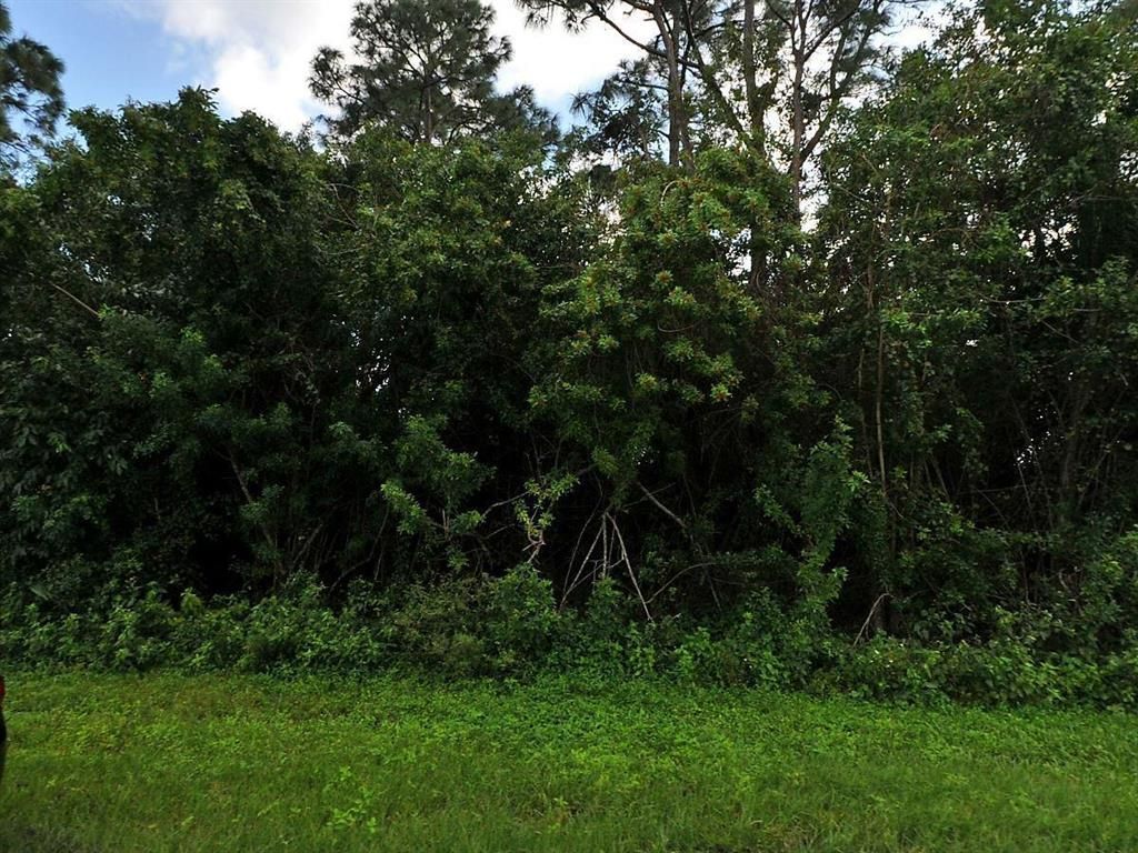Photo of 5 SW Mantilla Avenue, Port Saint Lucie, FL 34953 (MLS # R10725025)