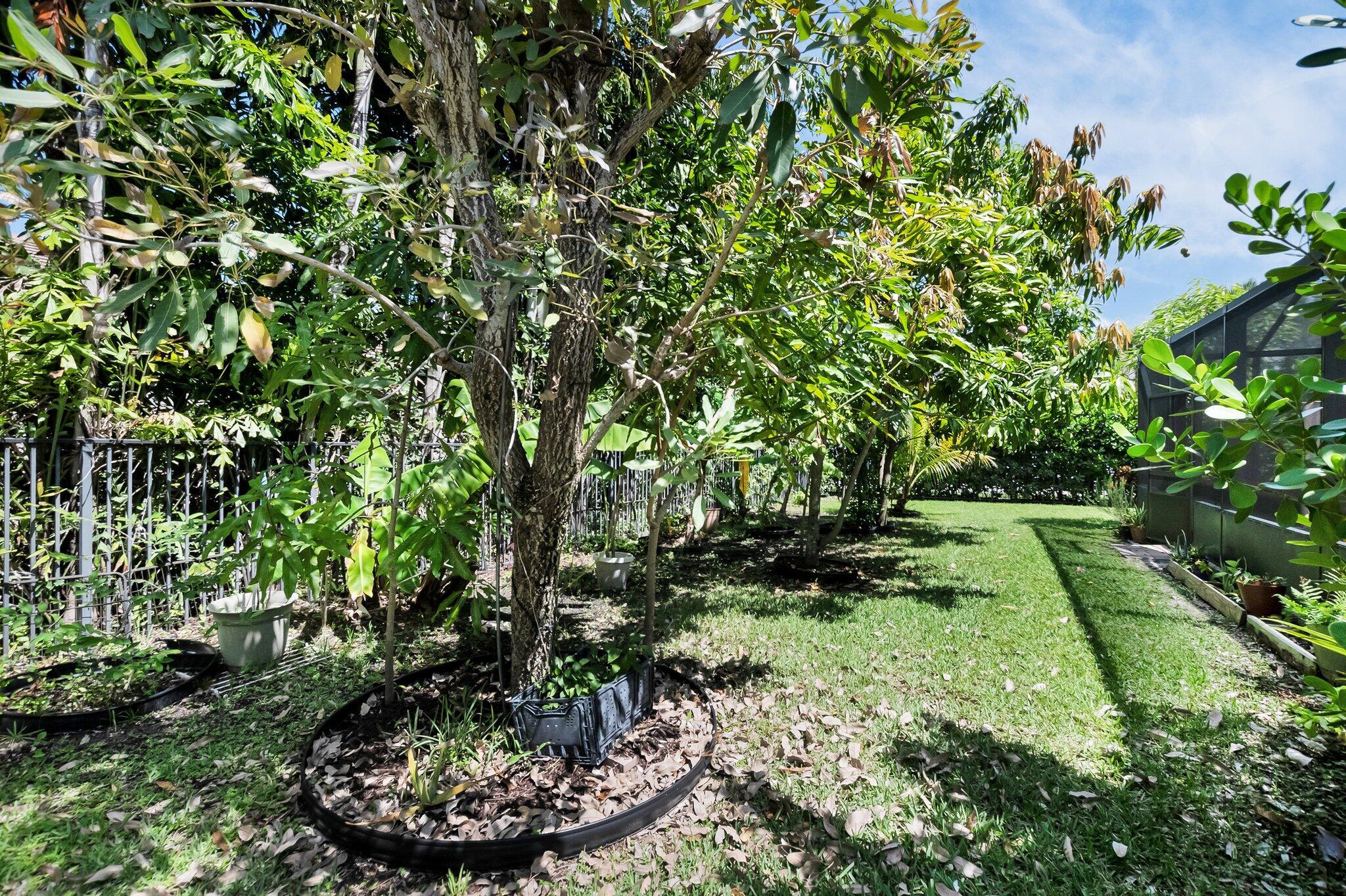 SUSSMAN AGR PUD NORTH PLAT ONE - Residential Lease