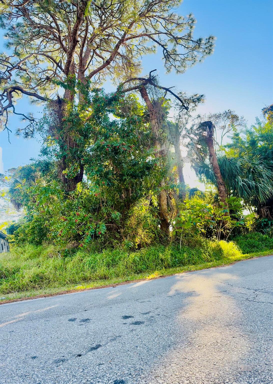 SUNLAND GARDENS - Land