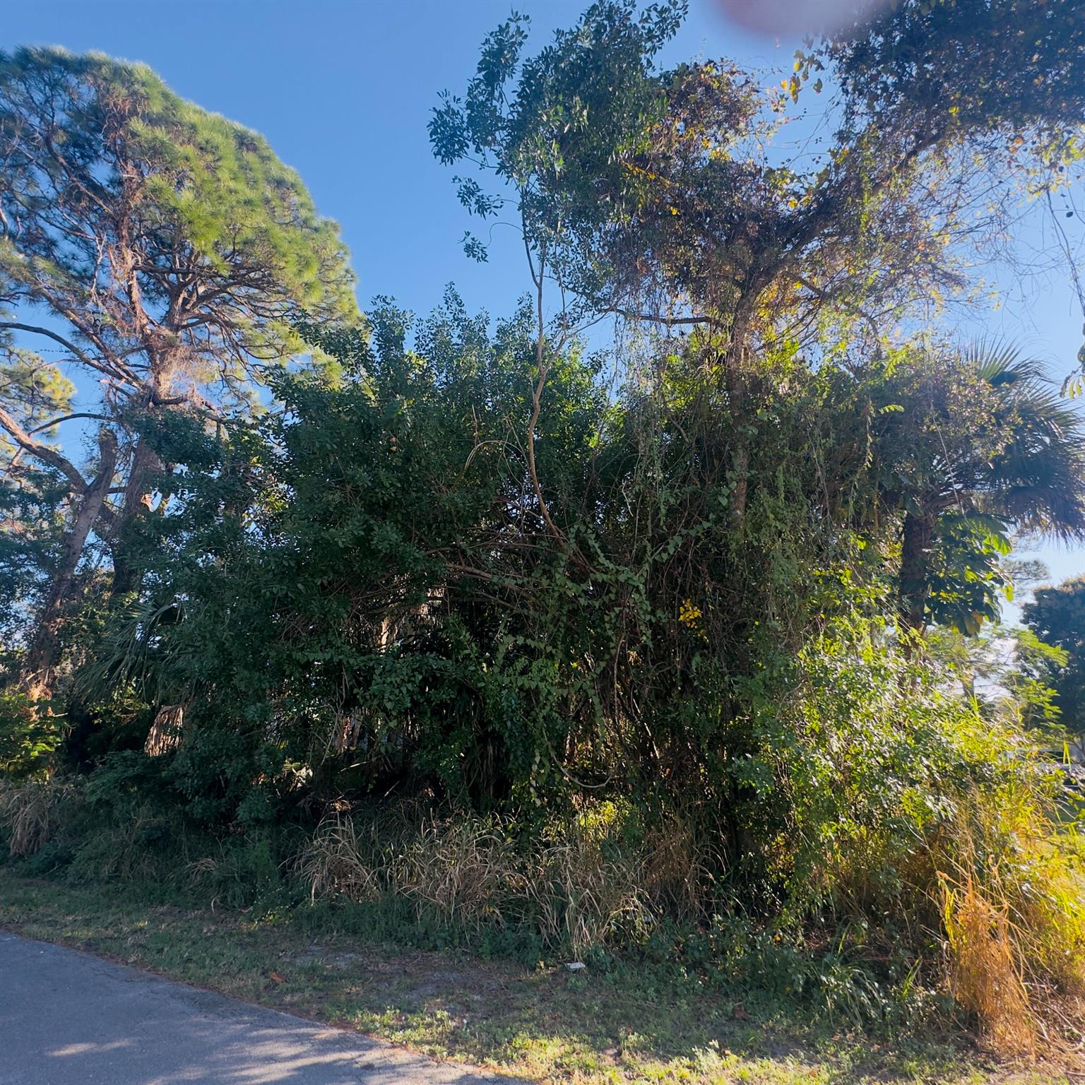 SUNLAND GARDENS - Land