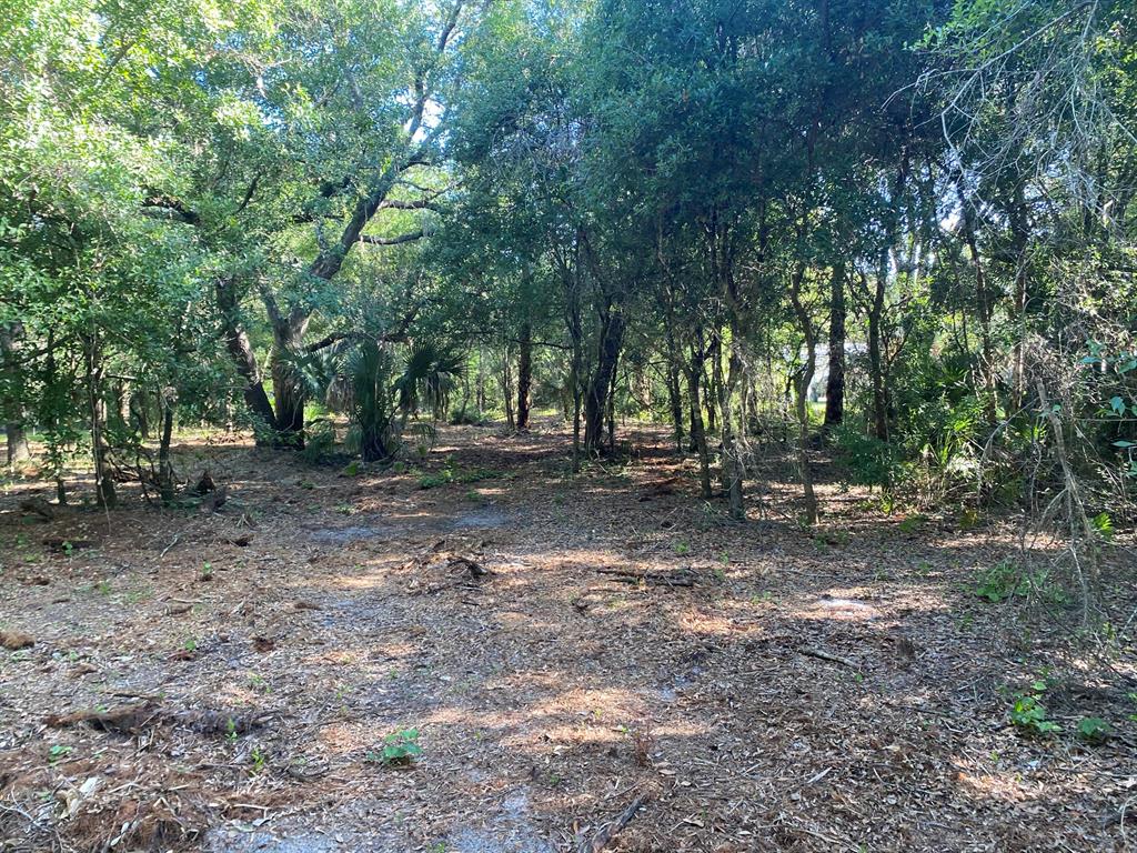 Build or bring your dream home and barn on this beautiful and private high and dry semi cleared 1.25 acre there is a culvert pipe already in place to access the property. So much to enjoy in Okeechobee County. Come to The Kissimmee River Preserve State Park West of this area as well is the Kissimmee River. The Kissimmee river flows into Lake Okeechobee and is well known for some of the best fishing. whether you like Fishing, hunting ,mudding agriculture or just privacy here you have it all.