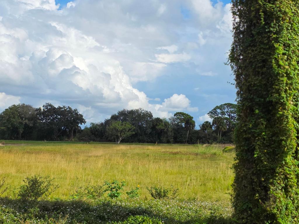 SAWGRASS ESTATES - Land