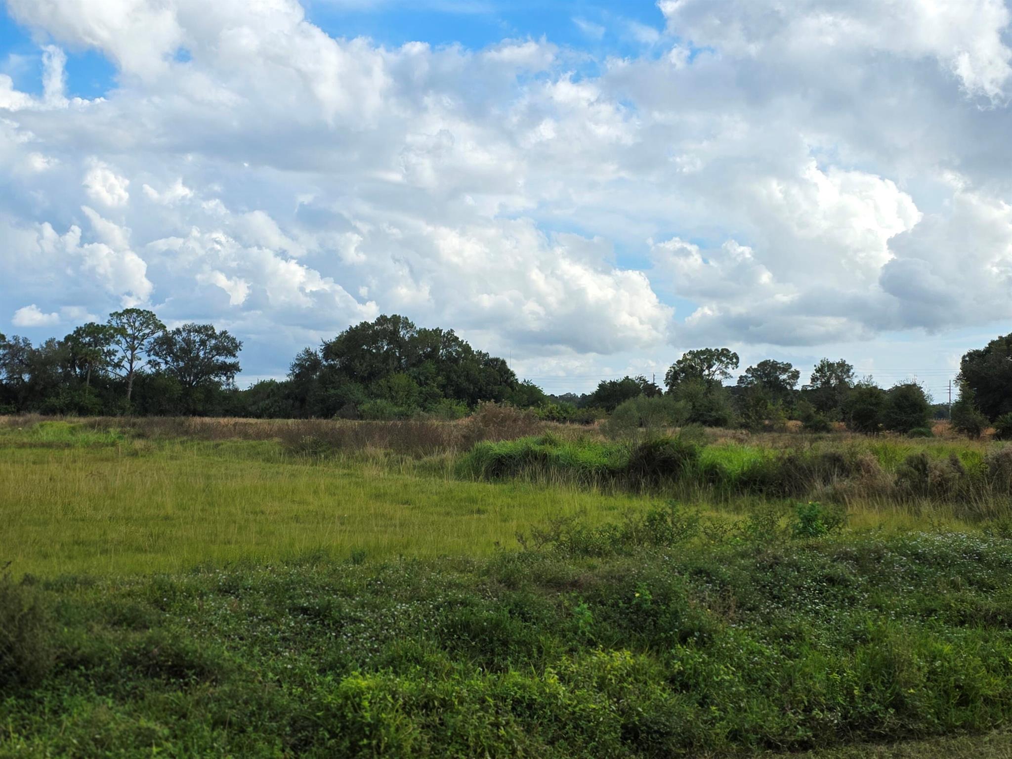 SAWGRASS ESTATES - Land