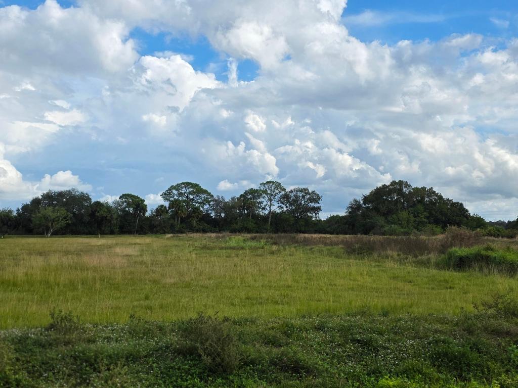 SAWGRASS ESTATES - Land