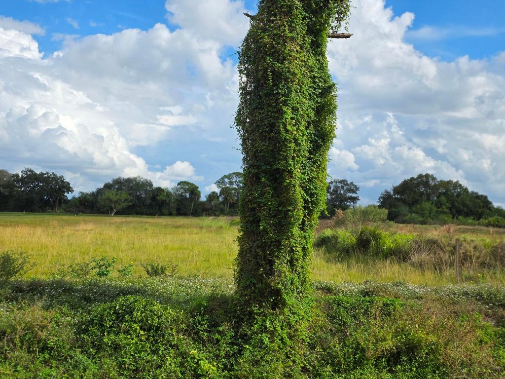 SAWGRASS ESTATES - Land