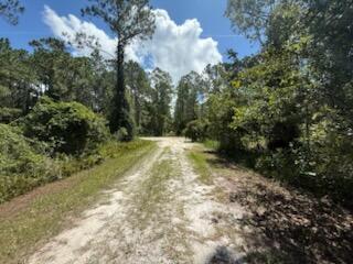 337 PALM Way
