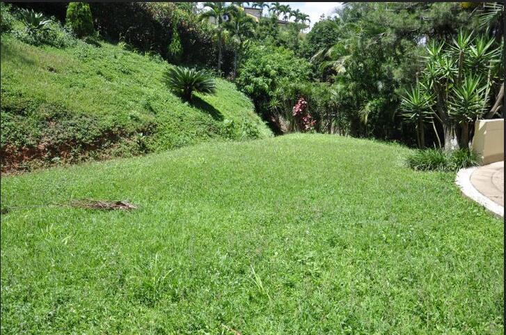 CONJUNTO 8 - Residential