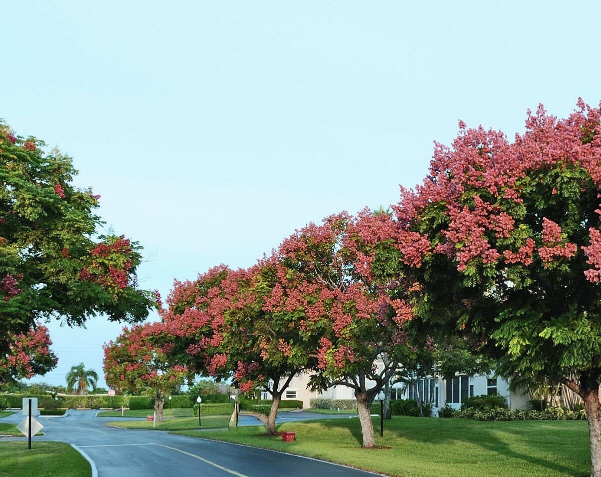 LAKE CLARKE GARDENS CONDO 24 - Residential