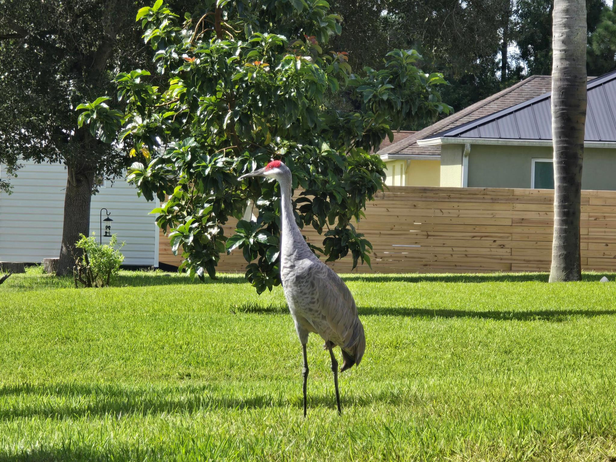 PORT ST LUCIE SECTION 39 - Residential