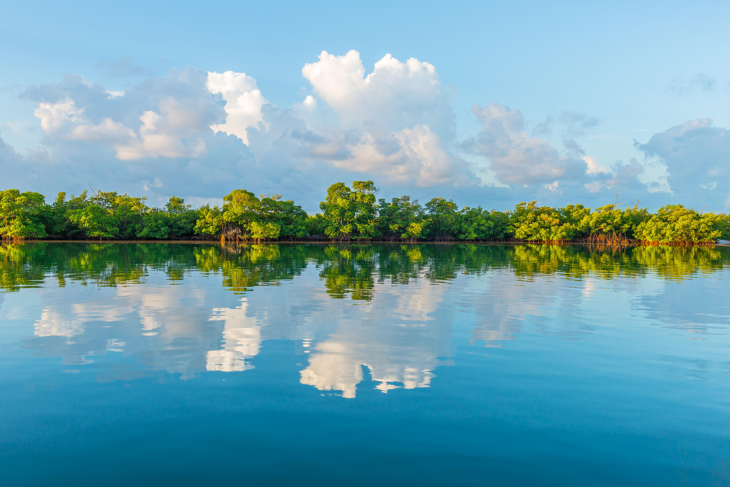 Cape Florida - Residential