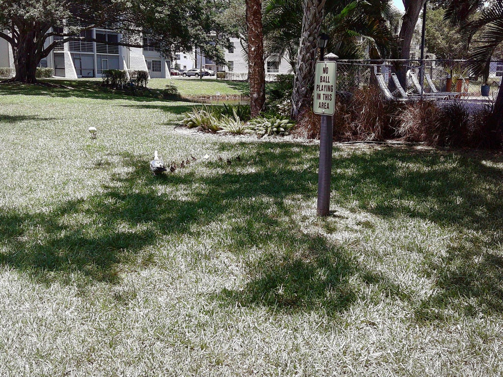 Photo of 9420 Poinciana Place #409, Davie, FL 33324 (MLS # B26040709)