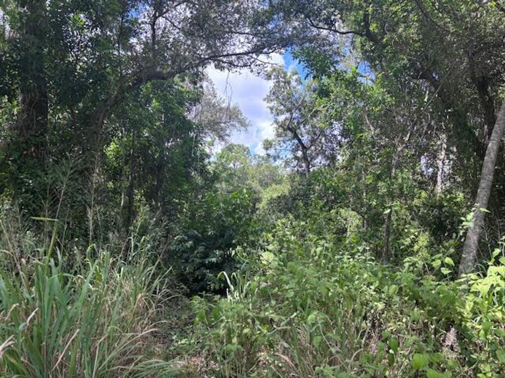 Photo of 3271 Sunrise Boulevard, Fort Pierce, FL 34945 (MLS # R11123773)